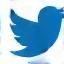 Twitter Icon